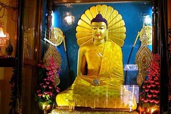 buddhist circuit tour