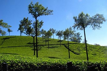 tour packages of kerala from ahmedabad